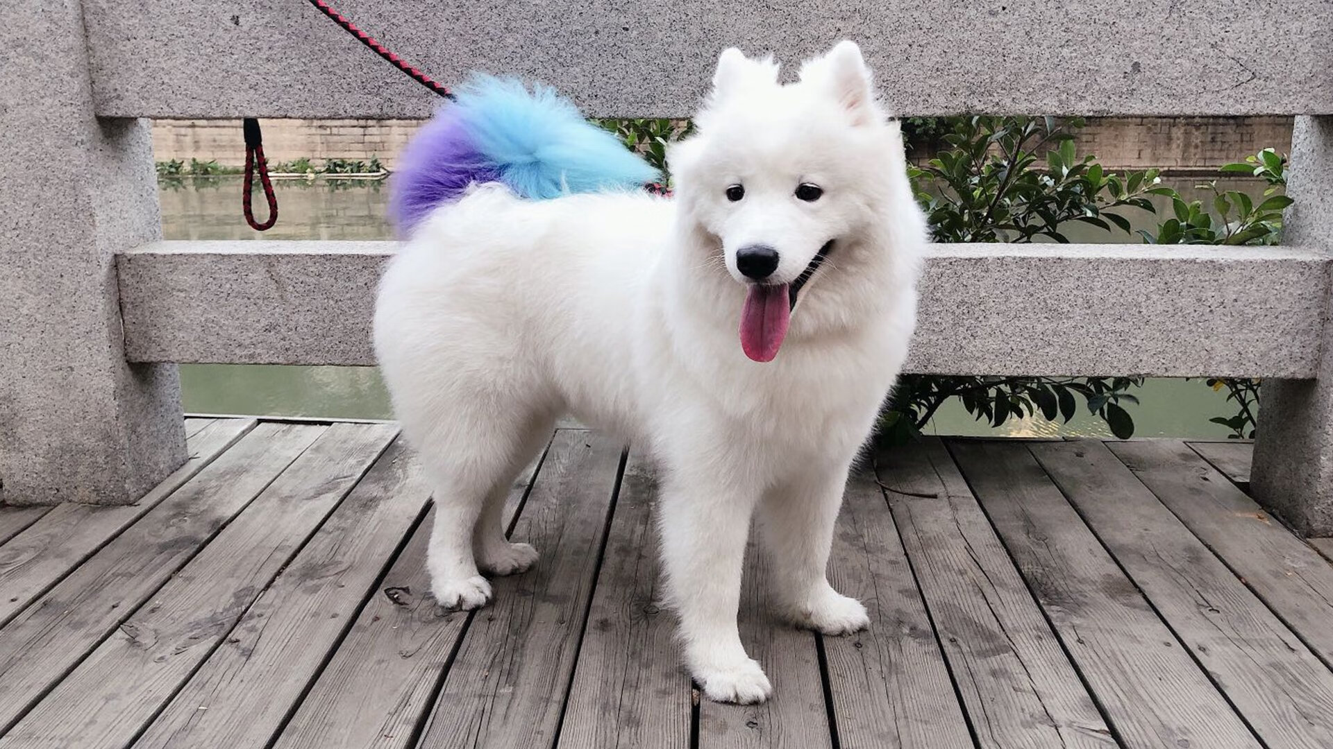 爱游戏 电竞-“未来之星：全国青少年足球冠军争霸赛圆满闭幕”，世界足球未来之星